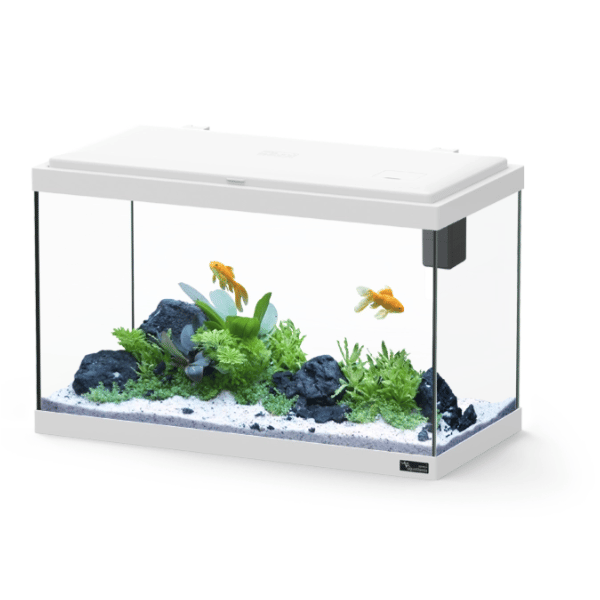 Explorer Vienna 42L Aquarium