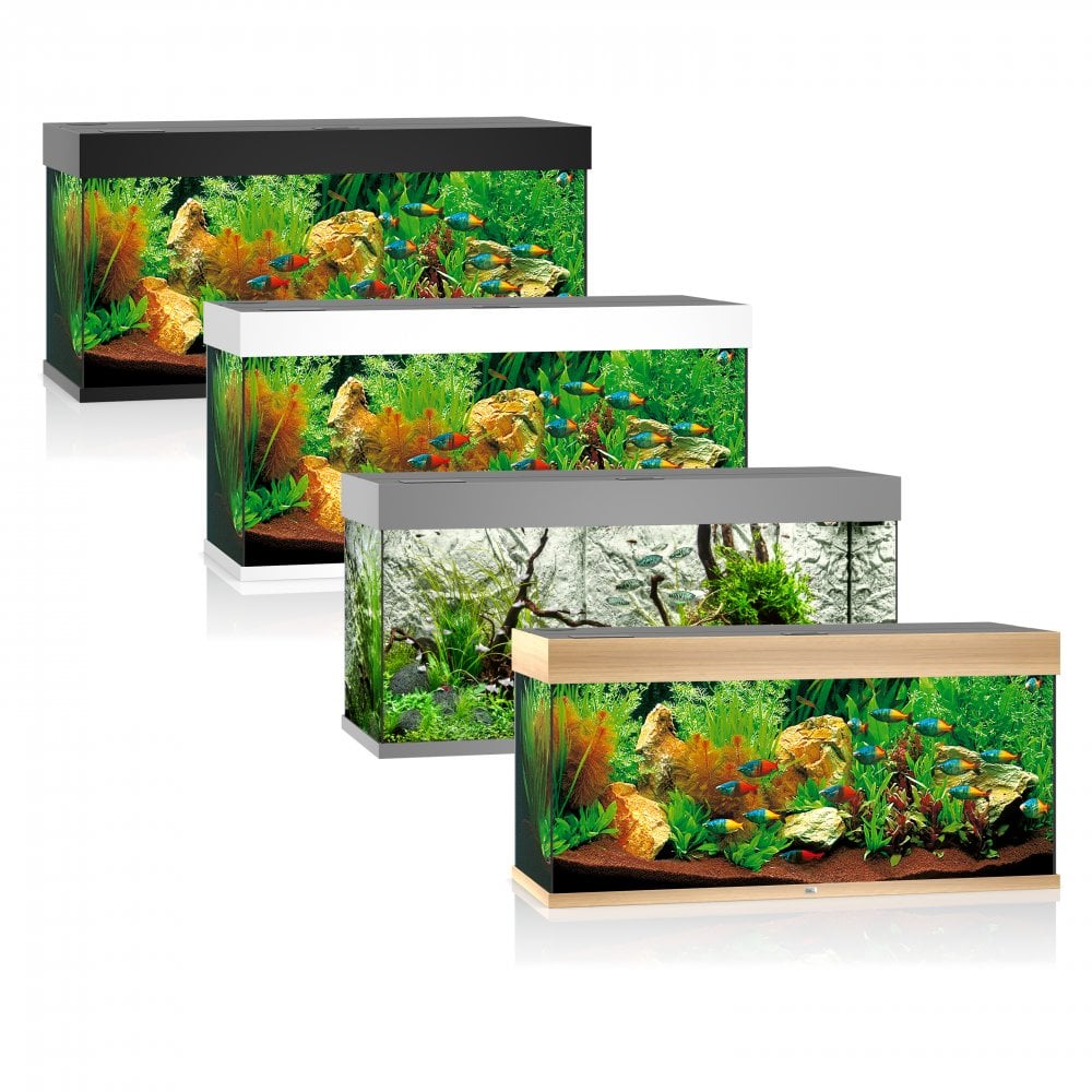 Juwel Rio 240 LED Aquarium