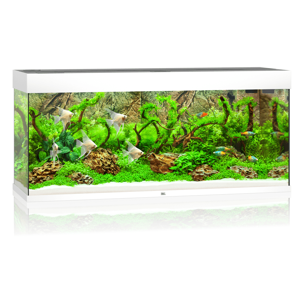 Juwel Rio 240 LED Aquarium