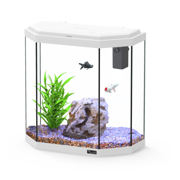 Explorer Rome 30L Aquarium