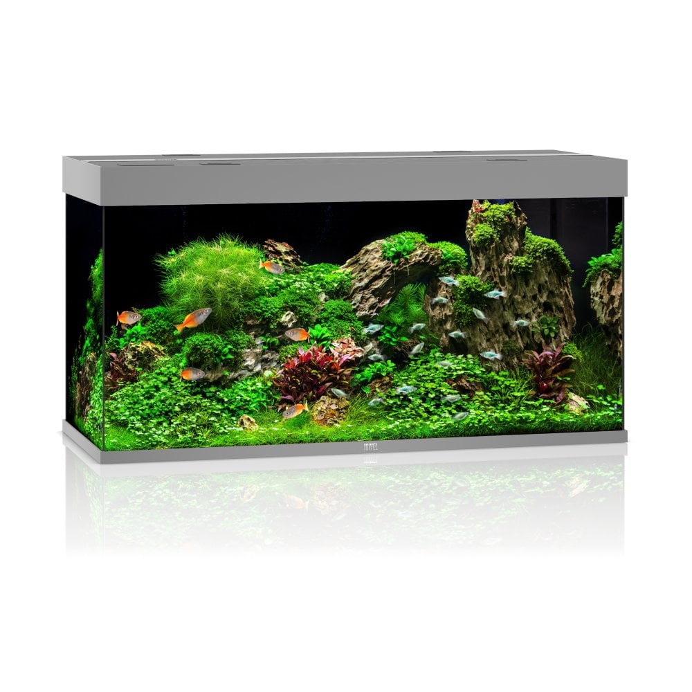 Juwel Rio 350 LED Aquarium