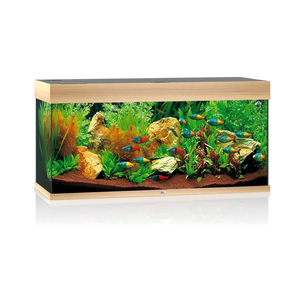 Juwel Rio 180 LED Aquarium