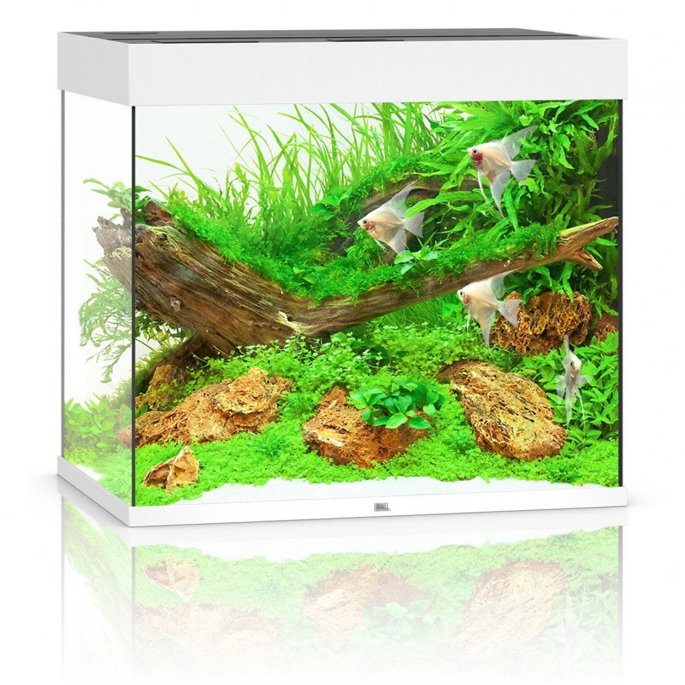 Juwel Lido 200 LED Aquarium