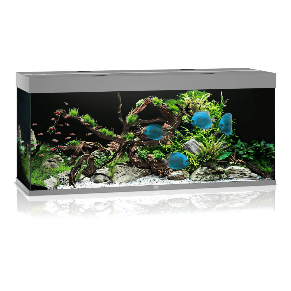 Juwel Rio 450 LED Aquarium