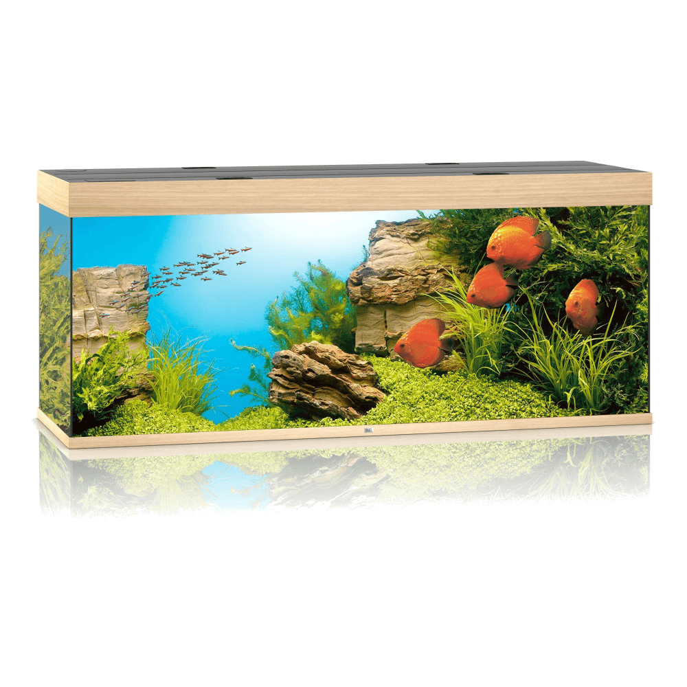 Juwel Rio 450 LED Aquarium
