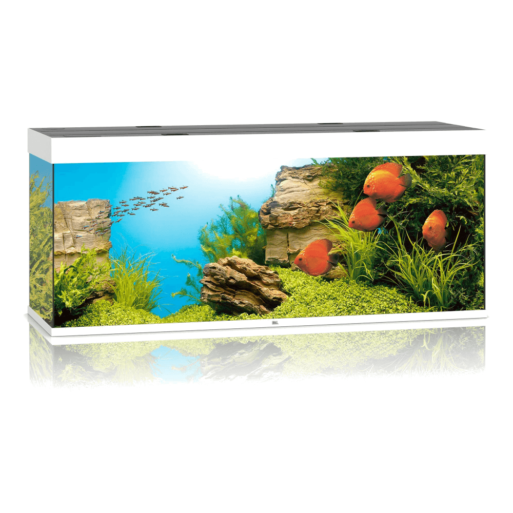 Juwel Rio 450 LED Aquarium