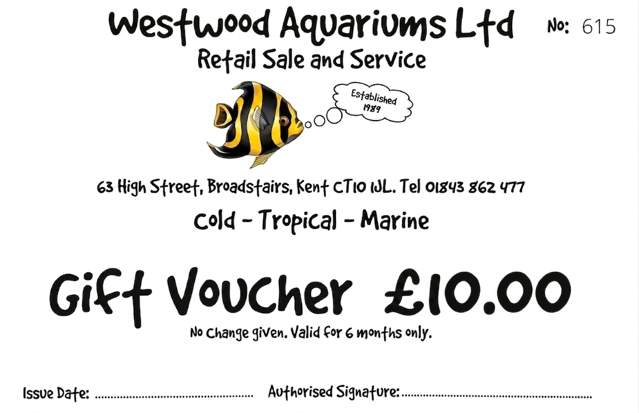 £10 Gift Voucher